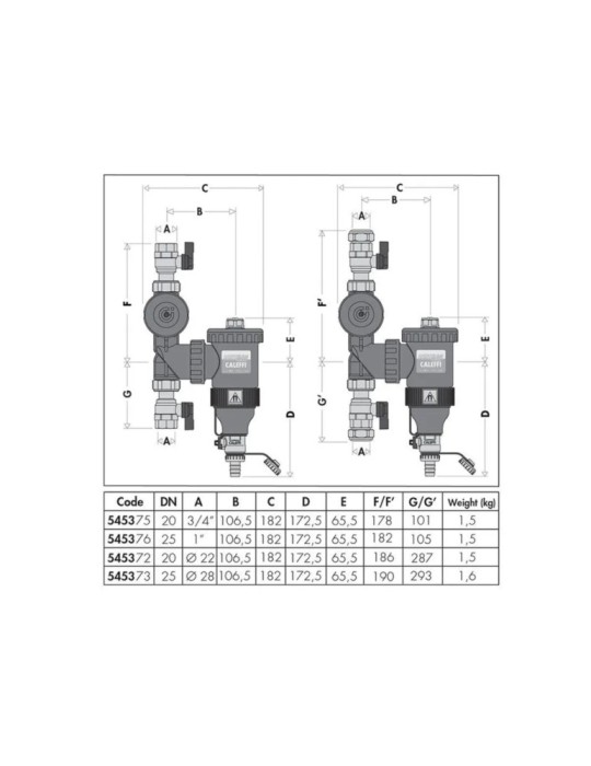 Dispositivo Multifunzione con Defangatore e Filtro DN 20 ø1"