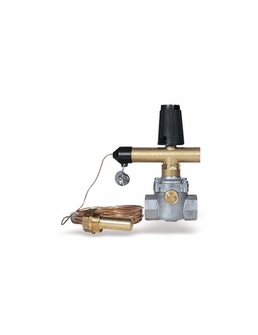 WATTS Valvola di Intercettazione Combustibile liquido/gassoso 1”1/4 con Riarmo manuale in Alluminio