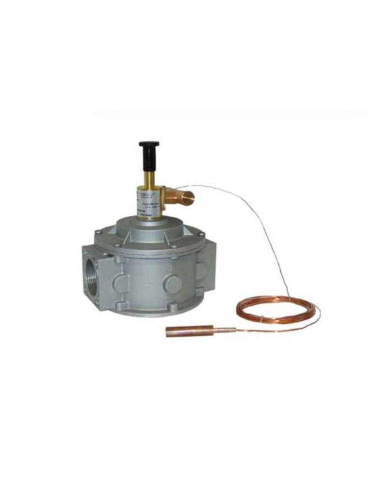 WATTS Valvola Intercettazione con Attacchi Flangiati in Alluminio DN 65