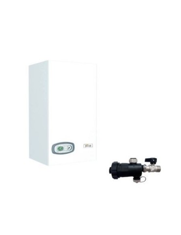 Ferroli Chaudière à Chambre Ouverte Divatech D LN C 24 Low Nox