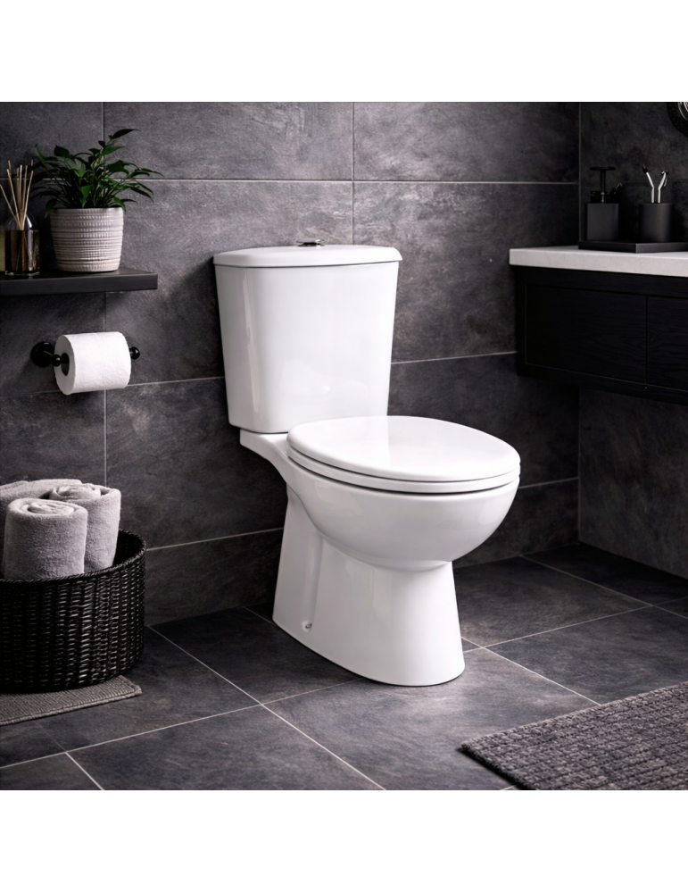 Wc Monobloc Karla De Rak Ceramics Avec Bonde Murale, Couleur Blanche