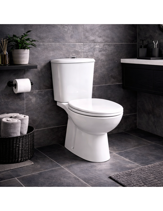 Wc Monobloc Karla De Rak Ceramics Avec Bonde Murale, Couleur Blanche