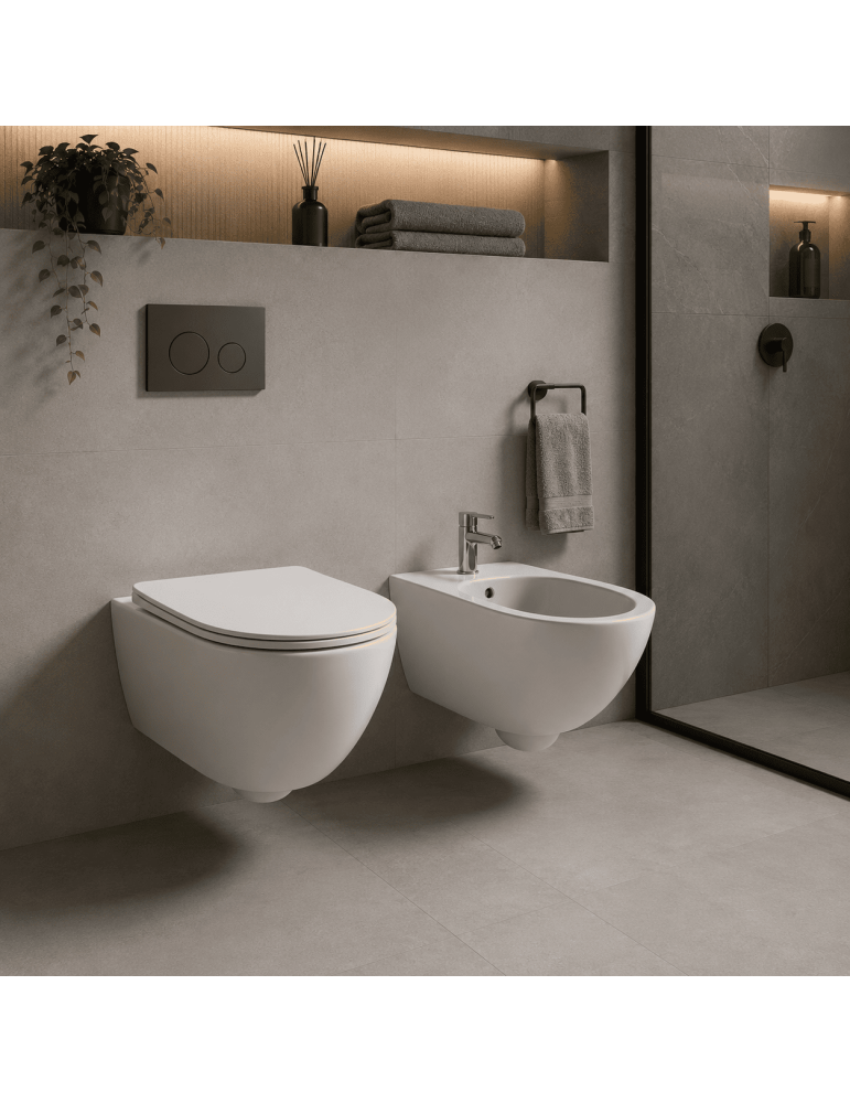 Wc Suspendu Et Bidet Geberit Série Colibrì, Blanc