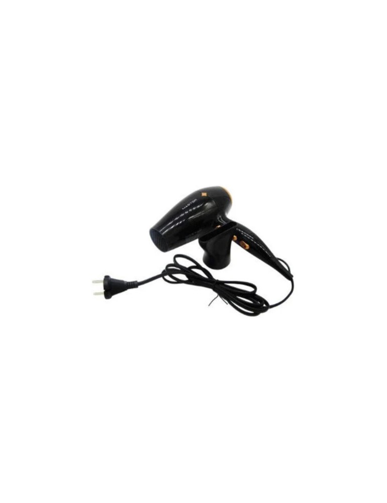 Sèche-cheveux Master 2100 Watts À Moteur AC - Ph970