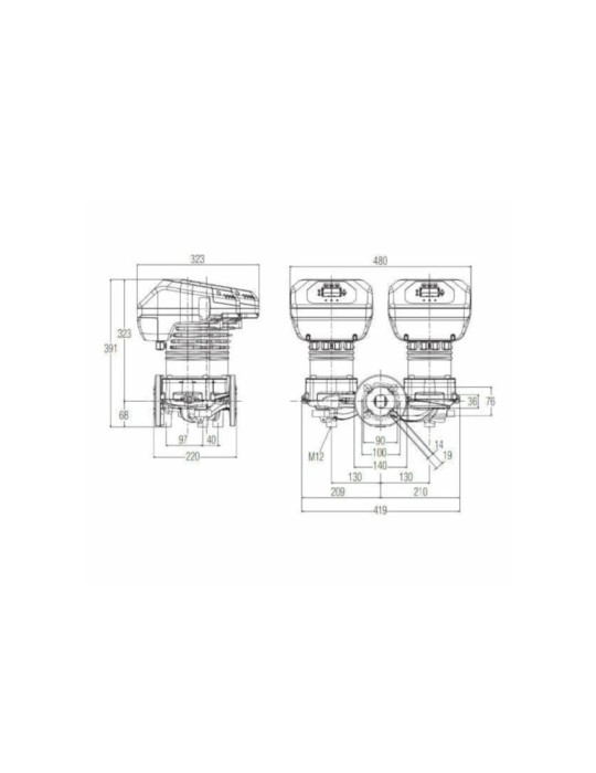 DAB EVOPLUS D 120/250,40 M  Gemellari Flangiati