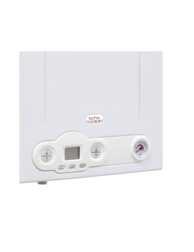 Fondital Caldaia a Camera Aperta Ischia Pro CNT Metano o Propano Dettaglio Pannelo