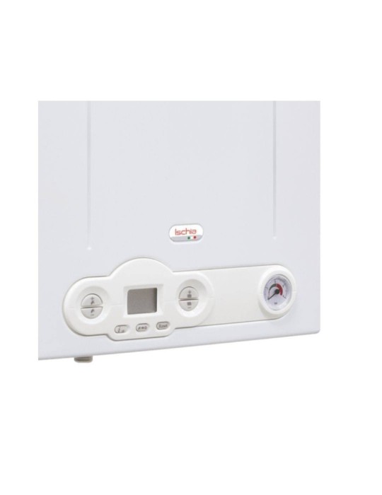 Fondital Caldaia a Camera Aperta Ischia Pro CNT Metano o Propano Dettaglio Pannelo